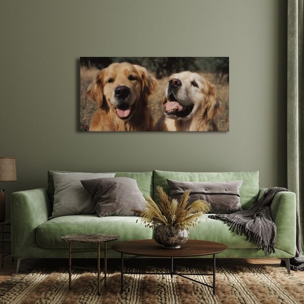 Quadro su tela – Oro nel pelo dei cani