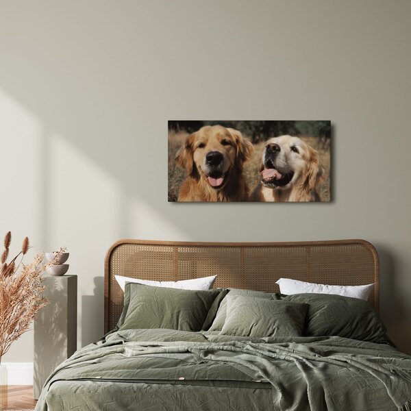Quadro su tela – Oro nel pelo dei cani