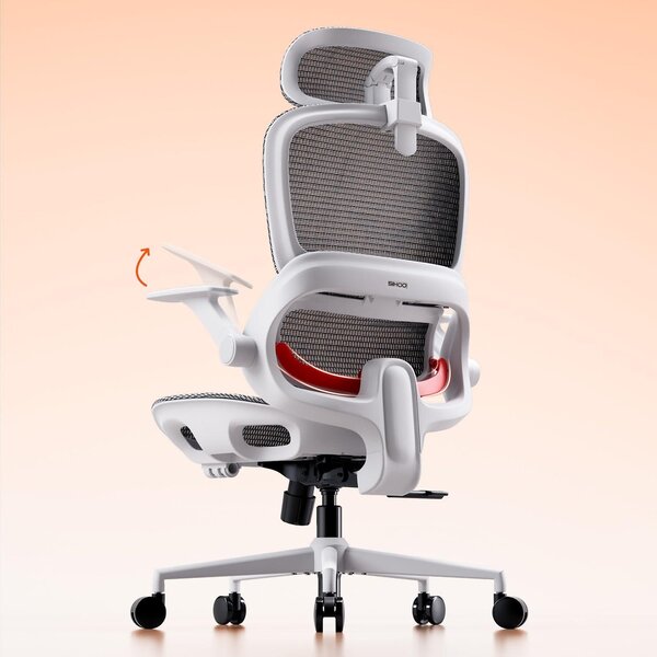 Sedia da ufficio ergonomica - Braccioli regolabili - Schienale a tre posizioni - Regolazione in altezza 19 cm