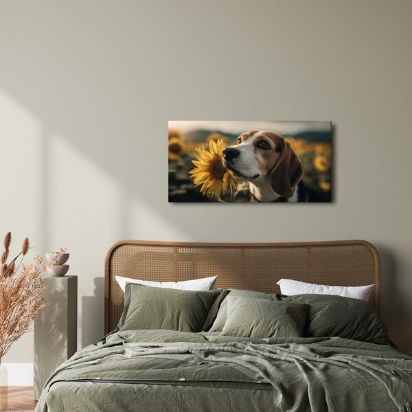 Quadro su tela – Beagle con girasole