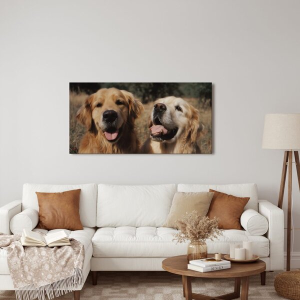 Quadro su tela – Oro nel pelo dei cani
