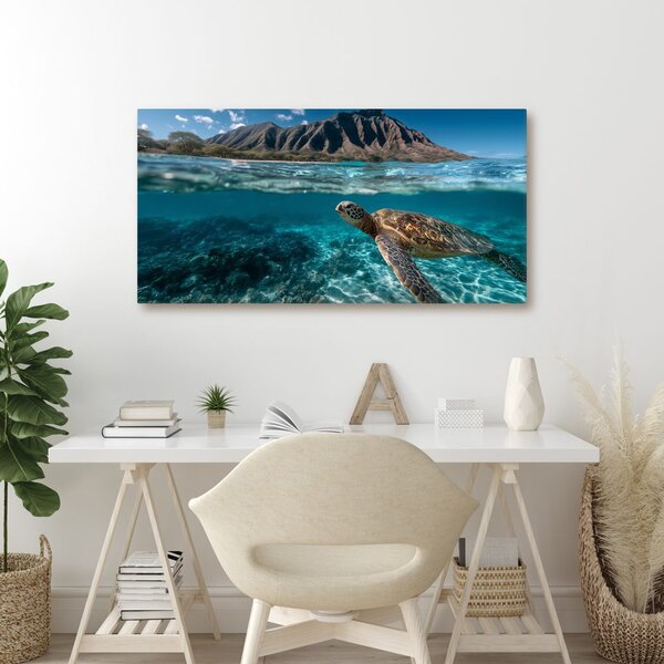 Quadro su tela – Mondo sottomarino e tartaruga