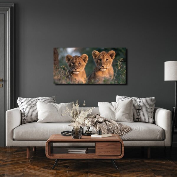 Quadro su tela – Coppia di giovani leoni