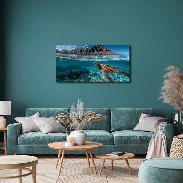 Quadro su tela – Mondo sottomarino e tartaruga