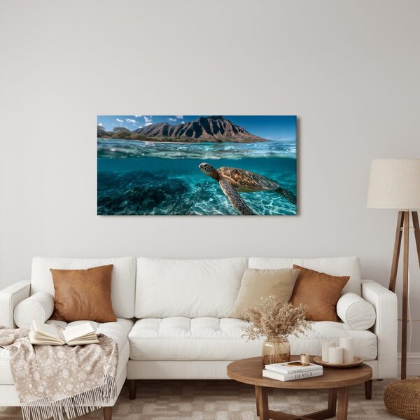 Quadro su tela – Mondo sottomarino e tartaruga