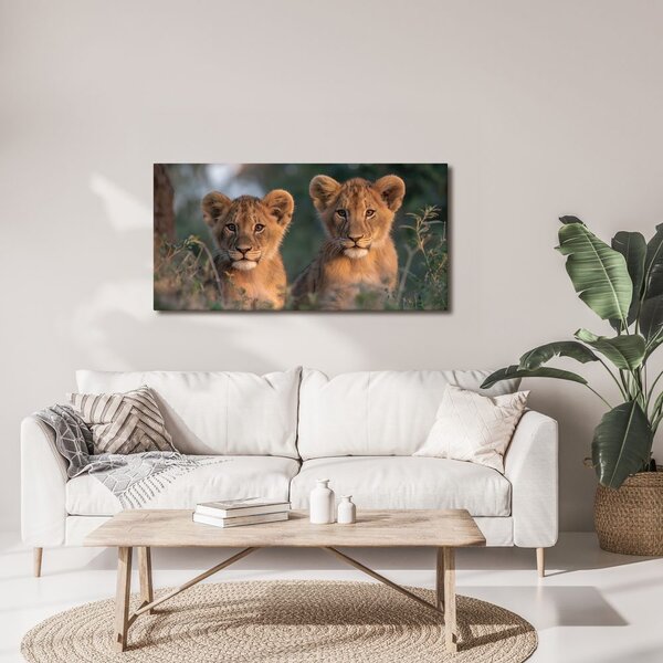 Quadro su tela – Coppia di giovani leoni