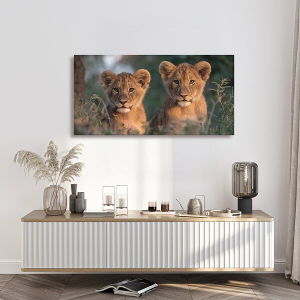 Quadro su tela – Coppia di giovani leoni