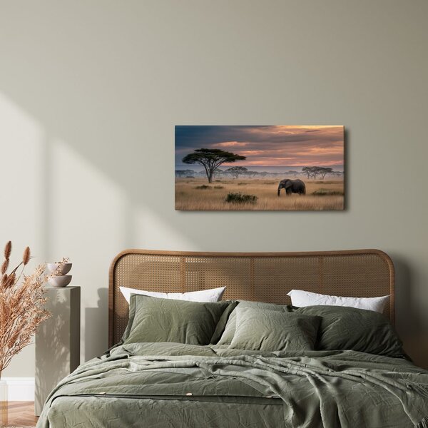 Quadro su tela – Elefante nella savana al tramonto
