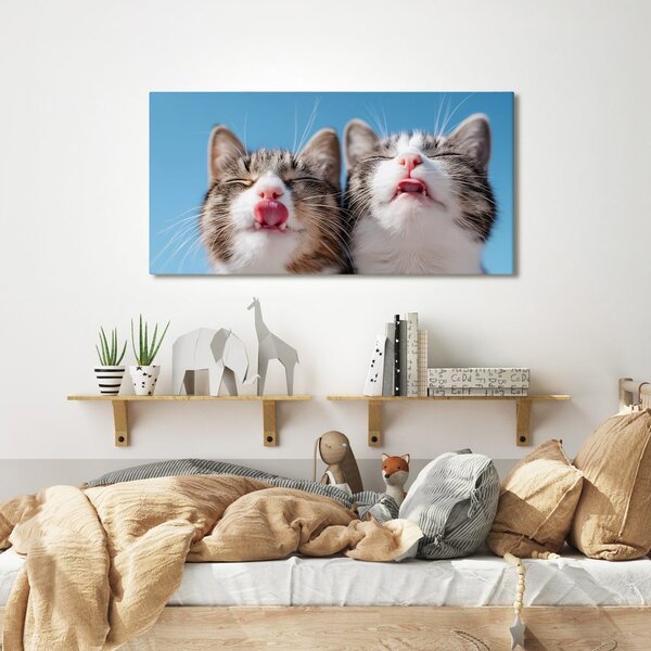 Quadro su tela – Duo felino birichino in dettaglio