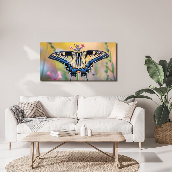Quadro su tela – Farfalla variopinta nella natura