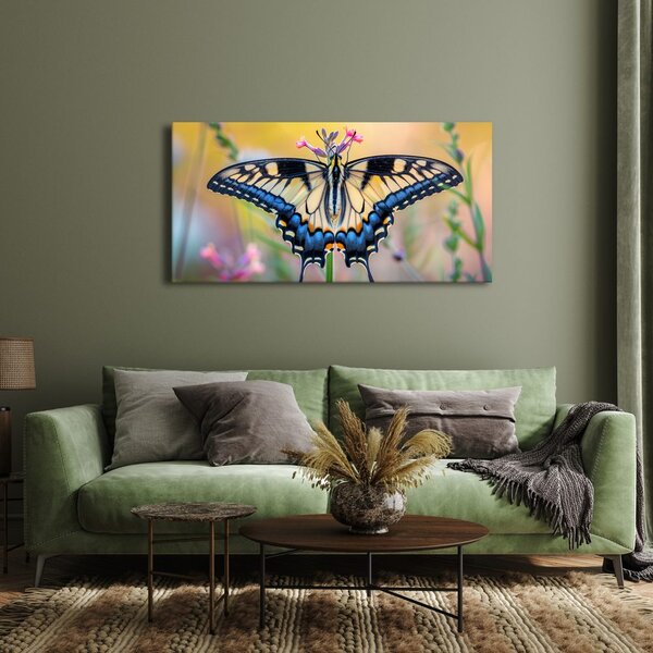 Quadro su tela – Farfalla variopinta nella natura