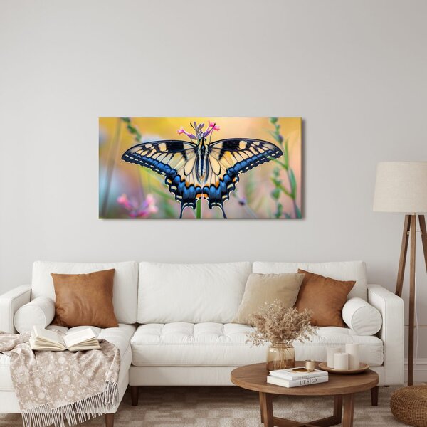 Quadro su tela – Farfalla variopinta nella natura