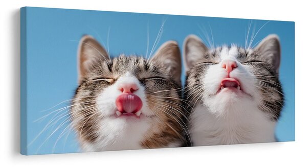 Quadro su tela – Duo felino birichino in dettaglio