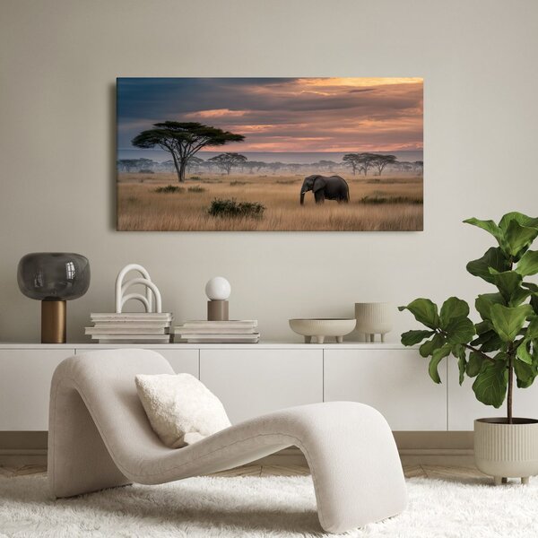 Quadro su tela – Elefante nella savana al tramonto