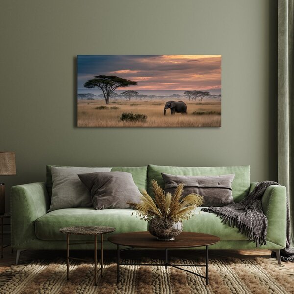 Quadro su tela – Elefante nella savana al tramonto