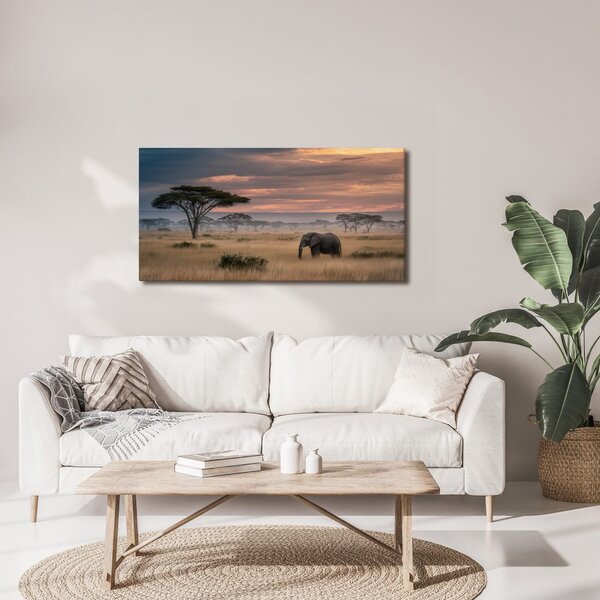 Quadro su tela – Elefante nella savana al tramonto