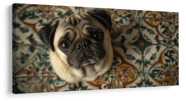 Quadro su tela – Sguardo canino su ornamenti