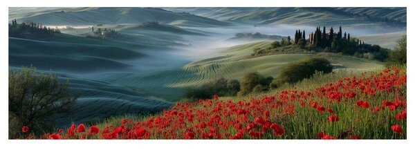 Quadro su tela – Paesaggio con valle nebbiosa