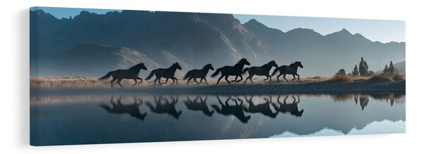 Quadro su tela – Libertà tra le montagne