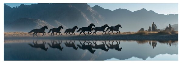 Quadro su tela – Libertà tra le montagne