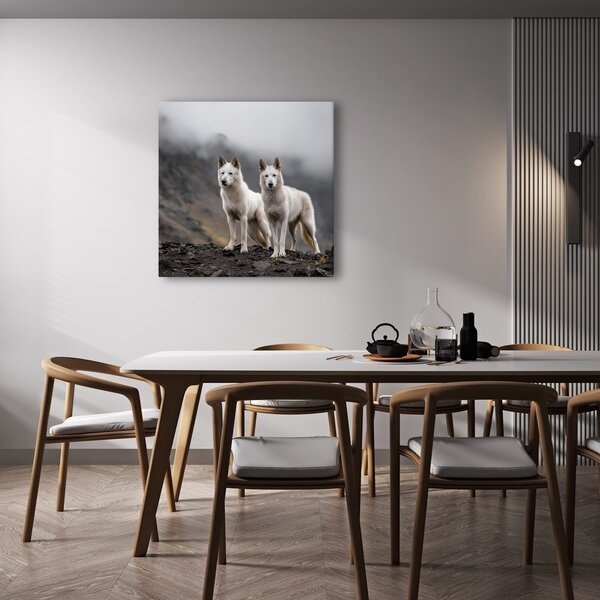 Quadro su tela – Lupi bianchi sulle rocce