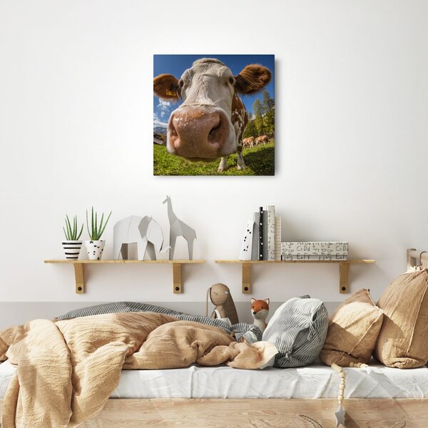 Quadro su tela – Vista della mucca al pascolo