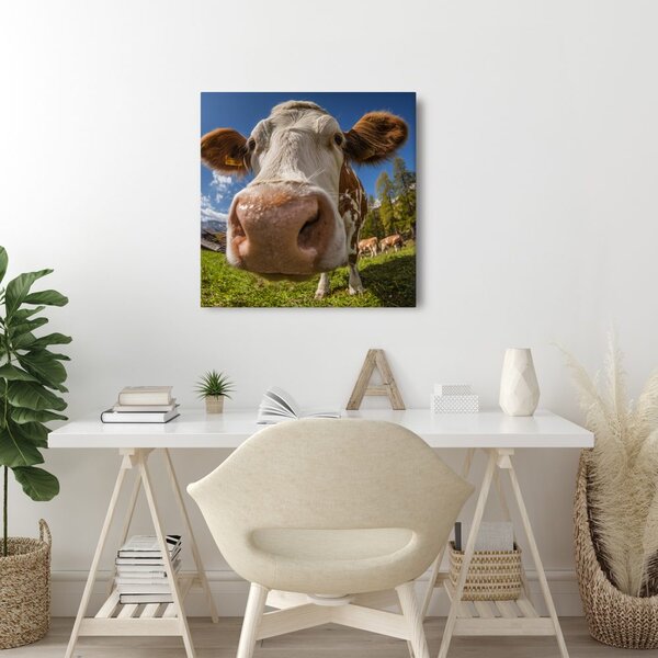 Quadro su tela – Vista della mucca al pascolo