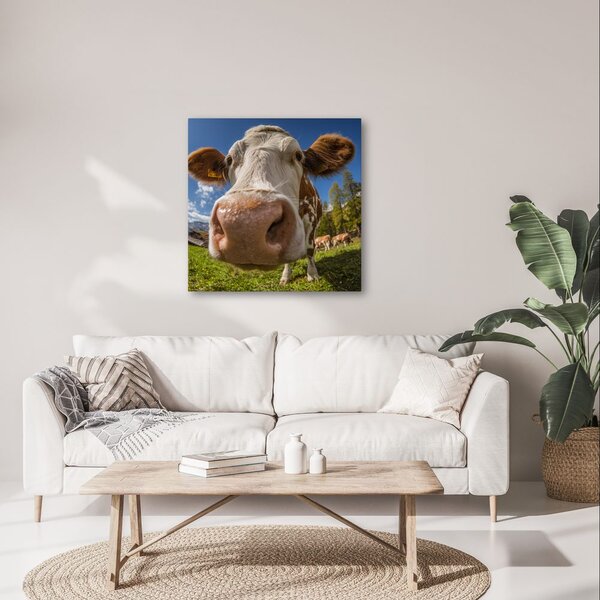 Quadro su tela – Vista della mucca al pascolo
