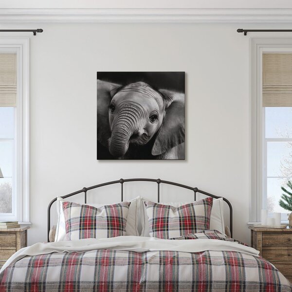 Quadro su tela – Ritratto in bianco e nero di elefante