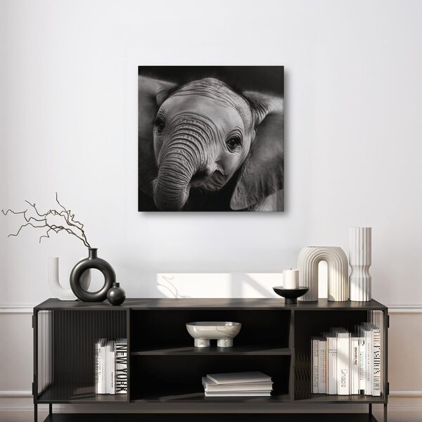 Quadro su tela – Ritratto in bianco e nero di elefante