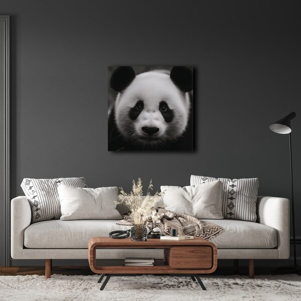 Quadro su tela – Panda su sfondo nero