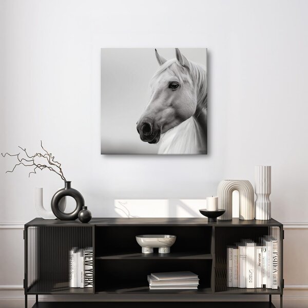 Quadro su tela – Maestoso cavallo bianco