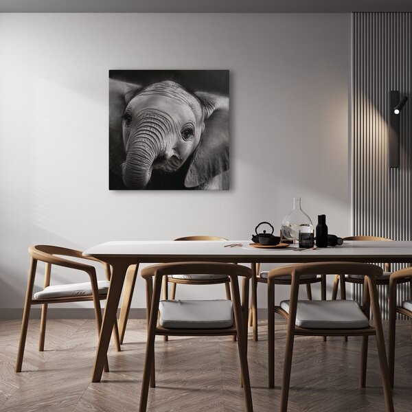 Quadro su tela – Ritratto in bianco e nero di elefante
