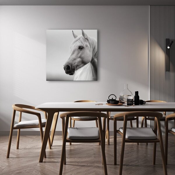 Quadro su tela – Maestoso cavallo bianco