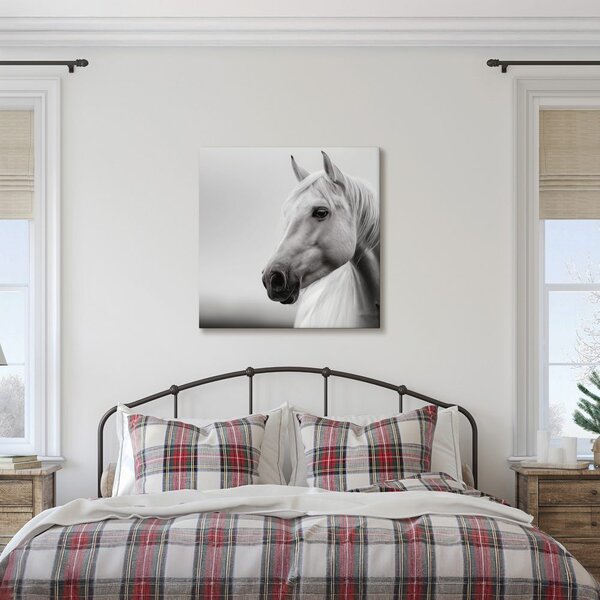 Quadro su tela – Maestoso cavallo bianco