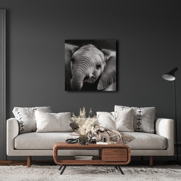 Quadro su tela – Ritratto in bianco e nero di elefante