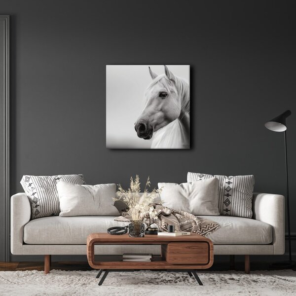 Quadro su tela – Maestoso cavallo bianco