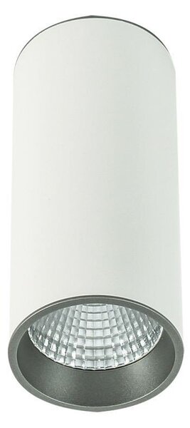 Faretto spot LED rotondo MOLDES bianco-grigio 12W, luce bianca calda 820 lm, alluminio, dimensioni: 20,2 x 9 x 9 cm, IP20, Italux