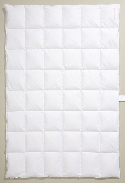 Centa-Star AMBIENTE: Coperta in fibra di bambù, leggera, 8 x 8, dimensioni 200 x 200 cm