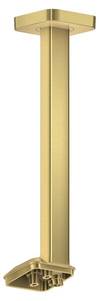 AXOR ShowerSphere, attacco a soffitto da 300 mm per doccetta a soffitto, modello 1jet, finitura effetto oro spazzolato