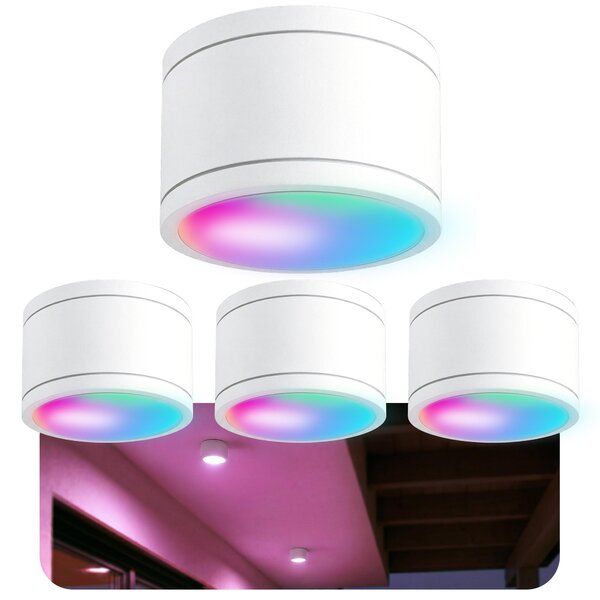 SSC-LUXon 4x CELI-WX Lampade da bagno Faretti da soffitto per casa intelligente - incl. LED GX53 SMART WLAN RGB tonalità di bianco - Downlight antracite compatibile con Alexa, Siri e Google