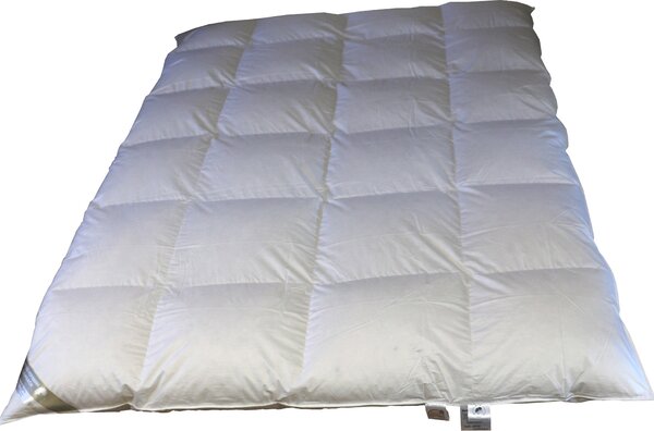 Betten Hofmann White Sibiria Oche delle nevi Piumino invernale con imbottitura alta 8 cm 6x7 240x220