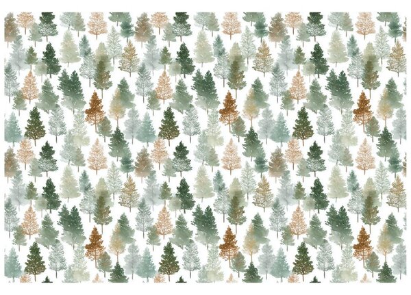 Carta da parati – Alberi di foresta multicolori