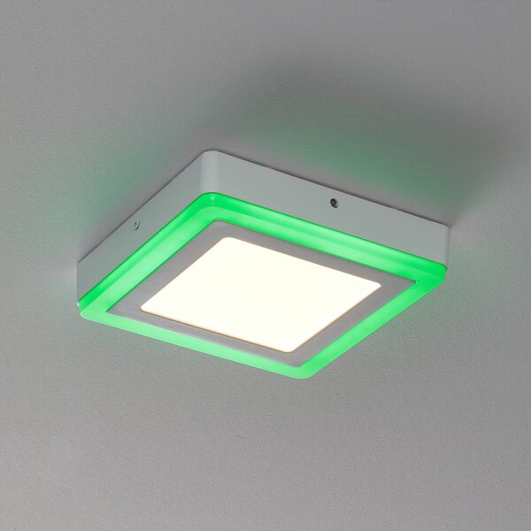 LEDVANCE LED Color+white square plafoniera 20cm