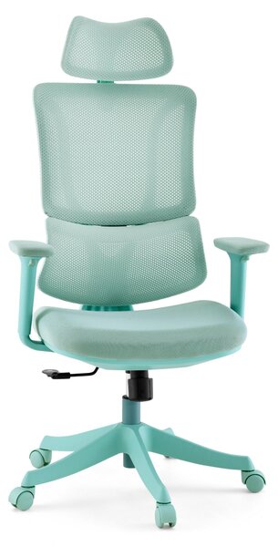 MyBuero Home Office sedia da ufficio Ergomy Colore sedia da scrivania con braccioli (regolabile in altezza) tessuto / rete sedia girevole
