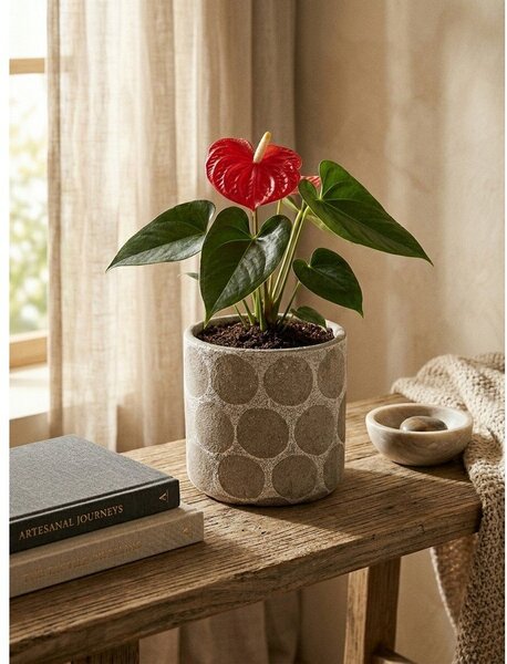 Coprivaso in terracotta ø 12 cm Felan – Bloomingville