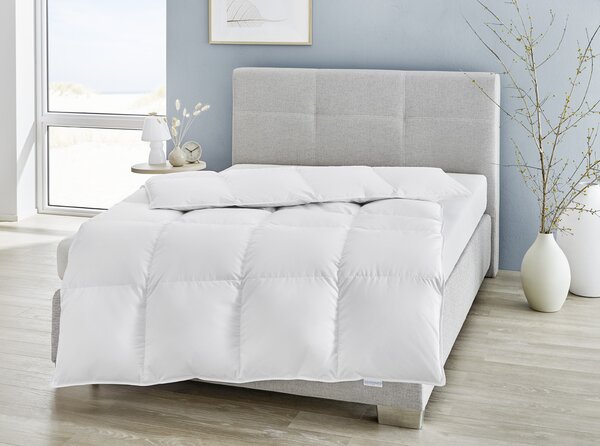 Piumino, 155x220 cm, REGINA, cotone, adatto a chi soffre di allergie, Germany, Oeko-Tex 100, livello di calore: caldo