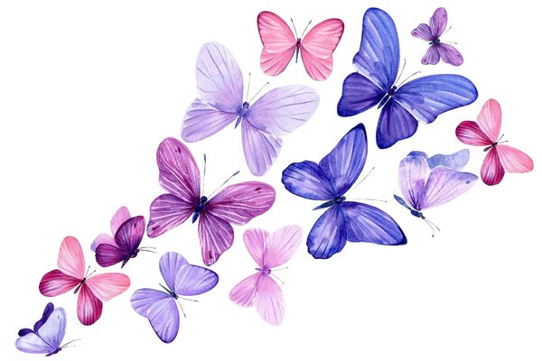 Carta da parati Gruppo di farfalle in volo, Carta da parati per Bambini, Carta da parati popolare, u01052 - Tapeko.it