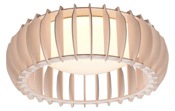 Plafoniera da Interno a LED in Plastica Bianco
