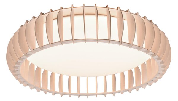 Plafoniera da Interno a LED in Plastica Bianco